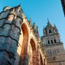 SALAMANCA FOREST Theme  screen for extension Chrome web store in OffiDocs Chromium