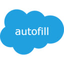 Salesforce Case Autofiller  screen for extension Chrome web store in OffiDocs Chromium