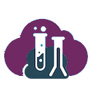 Salesforce Explorer Enhanced Setup  screen for extension Chrome web store in OffiDocs Chromium