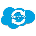 Salesforce Load All Objects And Fields  screen for extension Chrome web store in OffiDocs Chromium