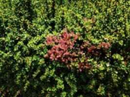 Free download Salir. free photo or picture to be edited with GIMP online image editor