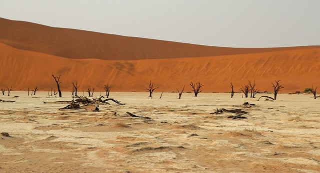 Free download salt clay pan sossusvlei deadvlei free picture to be edited with GIMP free online image editor