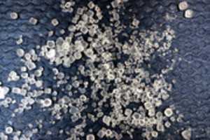 Free download Salt Crystals Macro free photo or picture to be edited with GIMP online image editor