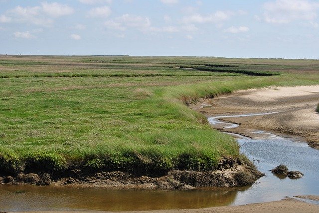 Kostenloser Download Salzwiese Nordsee Mecklenburg - kostenloses Foto oder Bild zur Bearbeitung mit GIMP Online-Bildbearbeitung