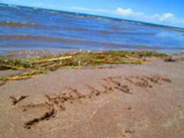 Free download Saluton free photo or picture to be edited with GIMP online image editor