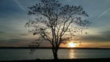 Free download Sampson State Park free photo or picture to be edited with GIMP online image editor