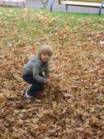 Free download SAMSUNG archive (Khimki) what is year free photo or picture to be edited with GIMP online image editor