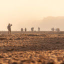 Sand and sun  screen for extension Chrome web store in OffiDocs Chromium