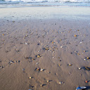 Sand beach and seashells  screen for extension Chrome web store in OffiDocs Chromium