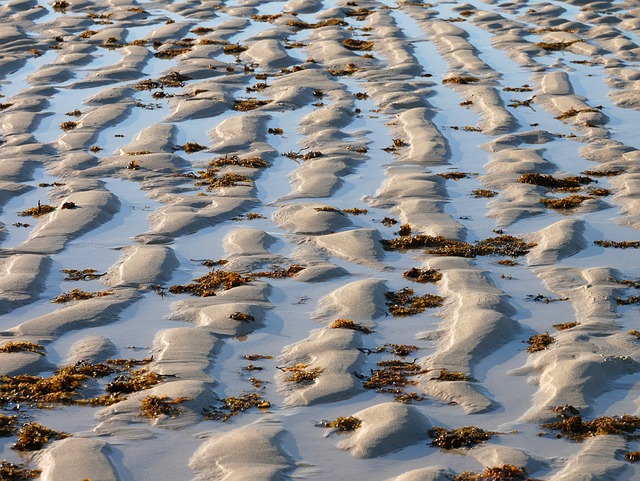 Free download sand beach sea water nature free picture to be edited with GIMP free online image editor