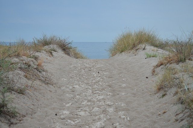 Free download Sand Dune Baltic Sea -  free free photo or picture to be edited with GIMP online image editor