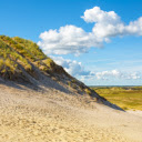 Sand dunes and grass  screen for extension Chrome web store in OffiDocs Chromium