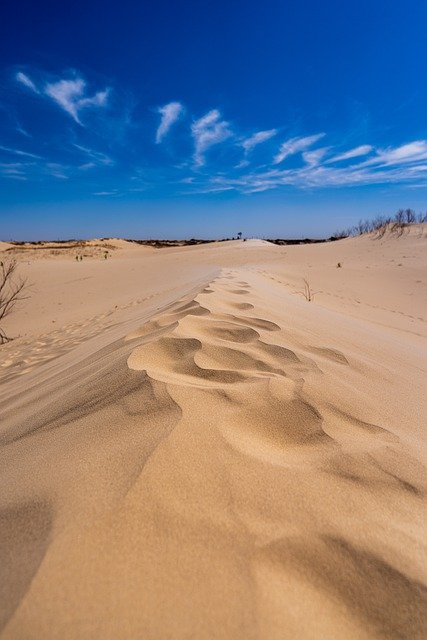 Free download sand dunes footprints desert texas free picture to be edited with GIMP free online image editor