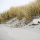 SAND DUNES THEME  screen for extension Chrome web store in OffiDocs Chromium