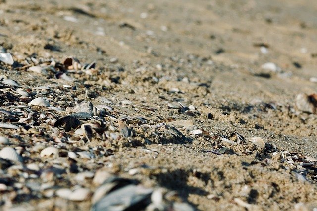 Descărcare gratuită Sand Sea Beach - fotografie sau imagini gratuite pentru a fi editate cu editorul de imagini online GIMP