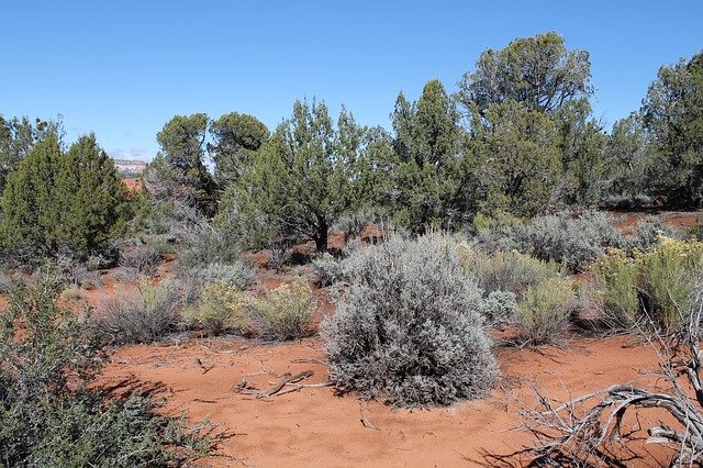 Téléchargement gratuit de Sand Utah - photo ou image gratuite à modifier avec l'éditeur d'images en ligne GIMP