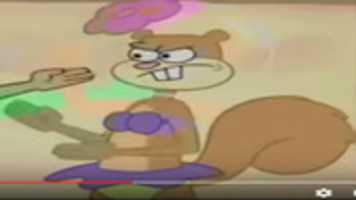 Free download Sandy Cheeks 4 free photo or picture to be edited with GIMP online image editor