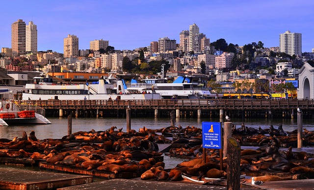 Free download san francisco california pier 39 free picture to be edited with GIMP free online image editor
