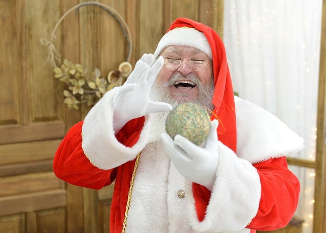 Free download santa claus christmas party free picture to be edited with GIMP free online image editor