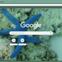 Sao bien xanh  screen for extension Chrome web store in OffiDocs Chromium