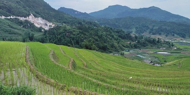 Скачать бесплатно Sapa Write Male - бесплатное фото или изображение для редактирования с помощью онлайн-редактора изображений GIMP