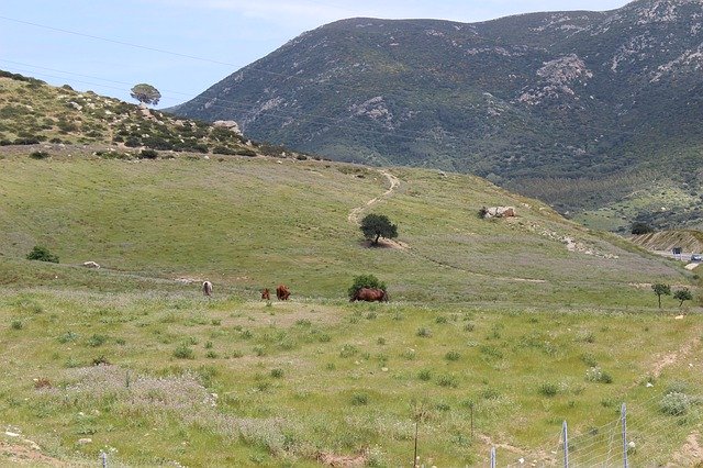Free download Sardinia Nature Landscape -  free photo or picture to be edited with GIMP online image editor