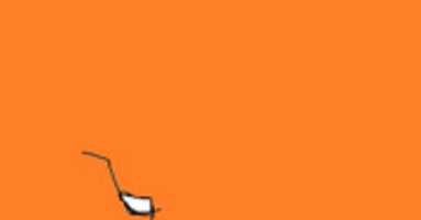 Free download sashahippie free photo or picture to be edited with GIMP online image editor