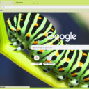 Sau Buom  screen for extension Chrome web store in OffiDocs Chromium