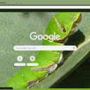 Sau Xanh  screen for extension Chrome web store in OffiDocs Chromium