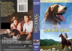 Free download Savage Sam 1999 VHS Cover free photo or picture to be edited with GIMP online image editor