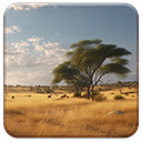 Savanna  screen for extension Chrome web store in OffiDocs Chromium