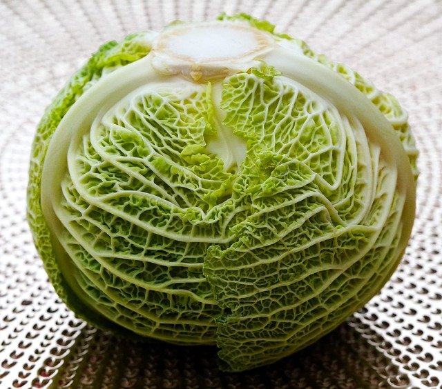 Free download savoy cabbage vegetable produce free picture to be edited with GIMP free online image editor