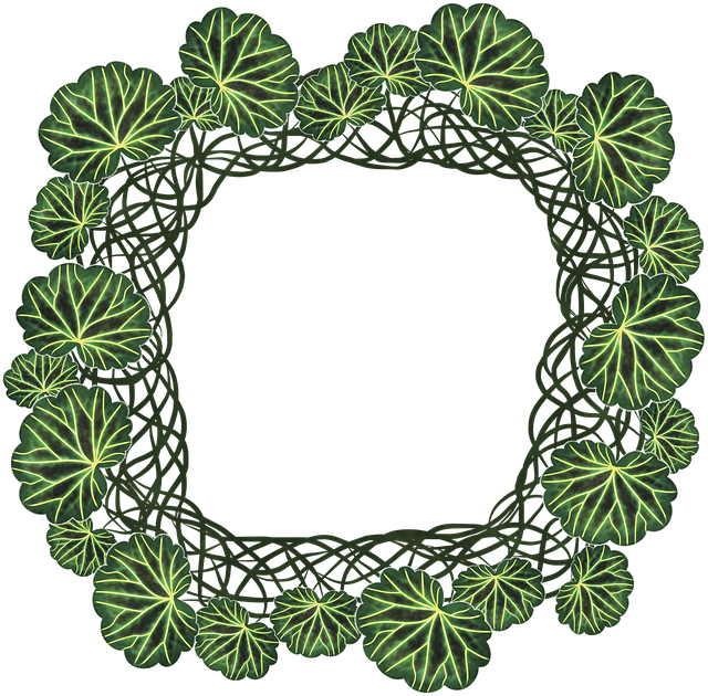Free download Saxifrage Tiger Ear Grass Summer -  free illustration to be edited with GIMP free online image editor