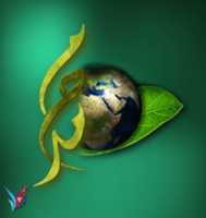 Free download SAYYIDUL KHALK free photo or picture to be edited with GIMP online image editor