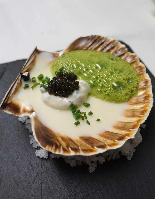 무료 다운로드 Scallop Caviar Star Kitchen - 무료 사진 또는 김프 온라인 이미지 편집기로 편집할 수 있는 사진