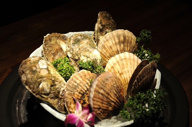 Free download scallop platter scallop platter 1 free picture to be edited with GIMP free online image editor