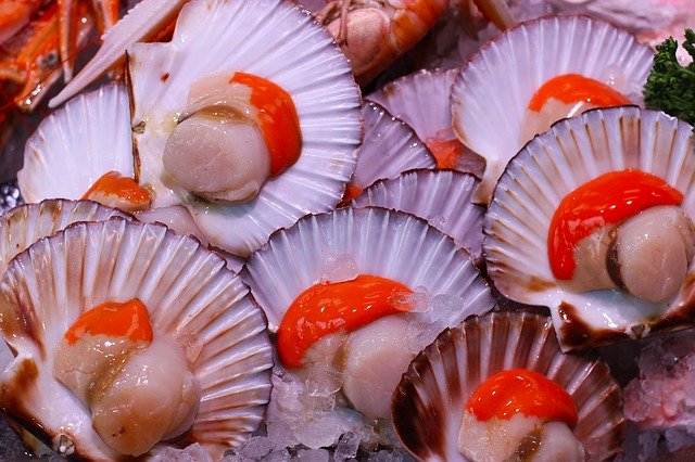 Free download Scallops Seafood Food -  free photo or picture to be edited with GIMP online image editor