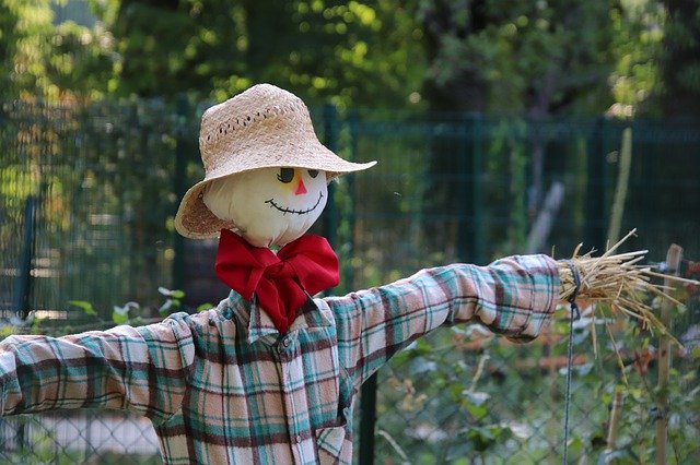 Free picture Scarecrow Garden Gardening -  to be edited by GIMP free image editor by OffiDocs