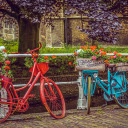 Scenery bicycles  screen for extension Chrome web store in OffiDocs Chromium
