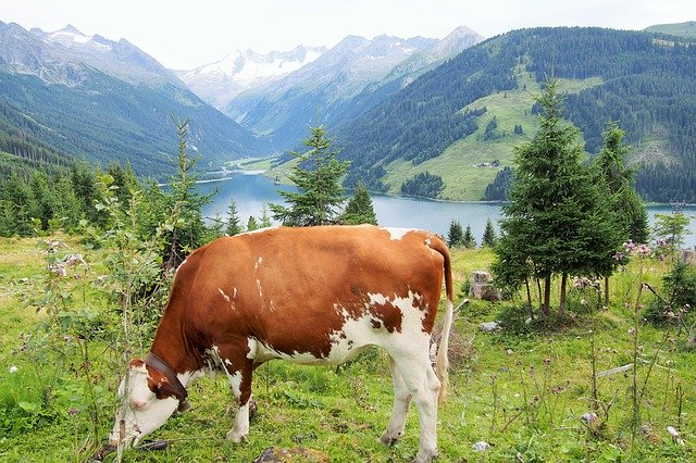 Bezpłatne pobieranie Scenery Mountain Water - bezpłatne zdjęcie lub obraz do edycji za pomocą internetowego edytora obrazów GIMP