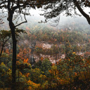 Scenic Autumn Forest with Misty Mountain View  screen for extension Chrome web store in OffiDocs Chromium