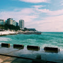 Scenic Shot of the Sochi Seaside  screen for extension Chrome web store in OffiDocs Chromium