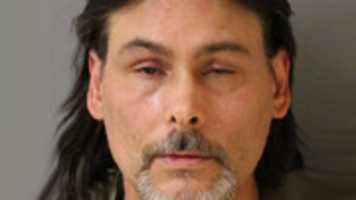 scesny-mugshot-2017-02-21 GIMP online editor free Free download scesny-mugshot-2017-02-21 free photo or picture to be edited with GIMP online image editor