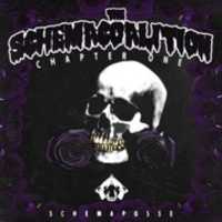 Free download Schema Coalition - Vol.1 free photo or picture to be edited with GIMP online image editor