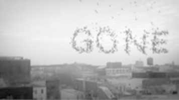 Free download Schermafbeelding 2011 06 15 Om 19.37.47 free photo or picture to be edited with GIMP online image editor