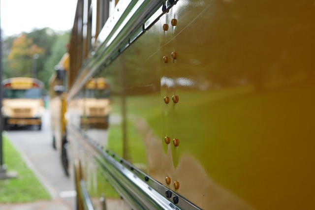 Free download school bus buses school yellow free picture to be edited with GIMP free online image editor