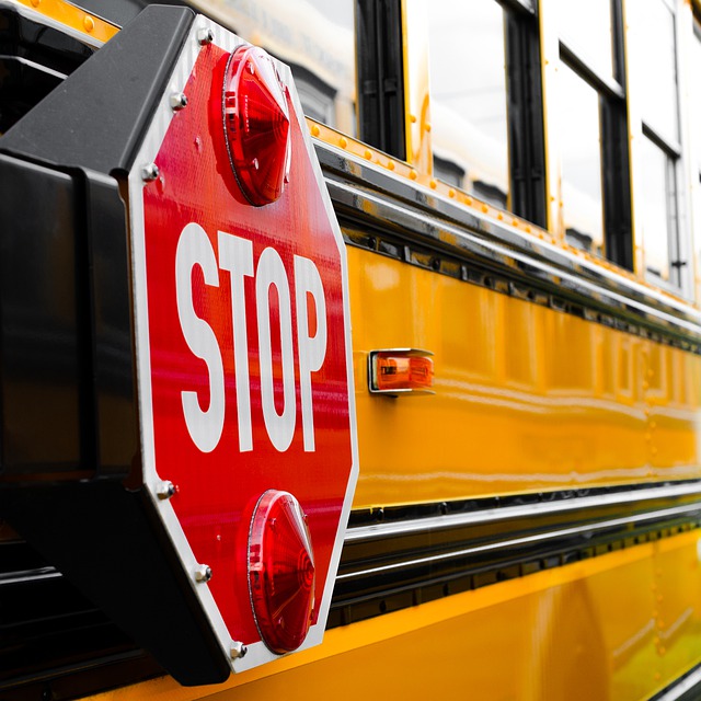 Free download school bus transportation stop sign free picture to be edited with GIMP free online image editor