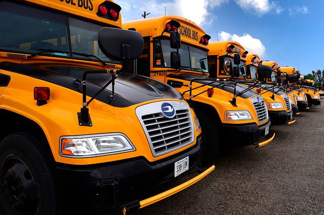 Free download school bus transportation vehicle free picture to be edited with GIMP free online image editor