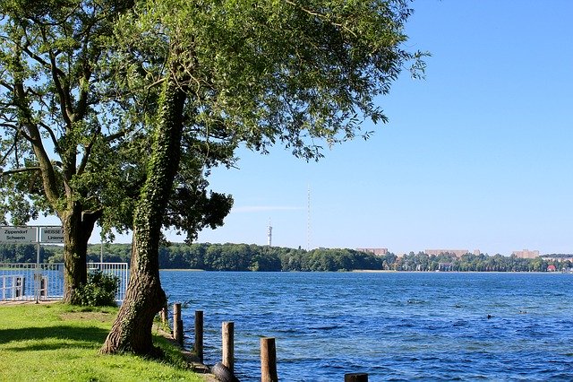 Free download Schwerin Rabbit Werder Investors -  free photo or picture to be edited with GIMP online image editor