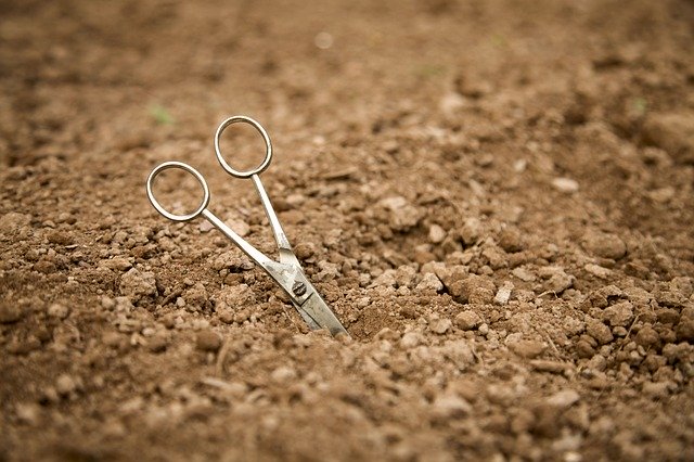 تنزيل Scissors Earth Field Ground مجانًا - صورة مجانية أو صورة يتم تحريرها باستخدام محرر الصور عبر الإنترنت GIMP